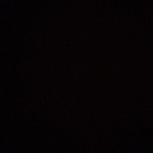 Meet your Posher, Ally